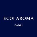 사단법인 국제융합의학학회 | 대한아로마학회, 25년 제16회 컨퍼런스, 아로마테라피와 홀리스틱 라이프스타일, 에코아이 아로마