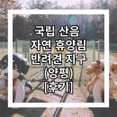 동계1리 | 국립 산음 자연휴양림(양평) - 반려견 지구 - 아이와 댕댕이와 함께