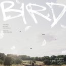 <베일리와 버드> 10월 29일 개봉! 칸이 사랑한 거장의 감동 드라마 🎬