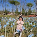 &lt;용산어린이정원 평일 4월 방문후기&gt;어린이박물관-용산어린이정원 코스추천,어린이정원가는방법,주차