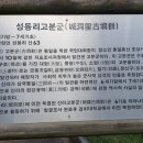 파주 성동리 고분군 이미지