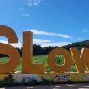 청산도올레펜션 이미지