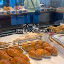 벤60