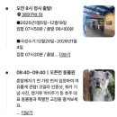 하얀마을카공업사 | 시드니 블루마운틴 1일투어 일정 ｜동물원·링컨스락·로라마을·시닉월드·에코포인트