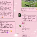 멍즈니랜드 이미지