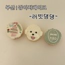 러빗댕댕 이미지