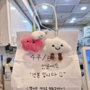 서울중대초등학교 | 당일생산 당일판매 잠실 송파역 에그타르트 맛집 뭉게