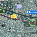 온천천시민공원 동백 이미지