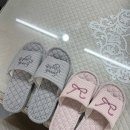 포그니아홈데코 이미지