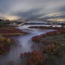 신진해장 이미지