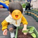 아이림유치원 이미지