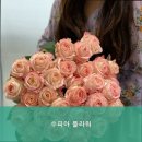 수피아플라워 이미지