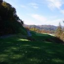 더플레이어스골프클럽 이미지