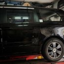 왕개미 카센타 이미지