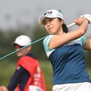 이글우드 이미지