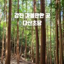 백향목민박 | 강진 가볼만한 곳 다산초당_예쁜 산길을 올라가면 만나게 되는 다산 정약용의 유배지