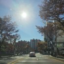 부여군보건소(건강재활센터) | 운동처방사(건강운동관리사) 직업인 멘토링 중고등학교, 공공기관 진로 체험 및 강의