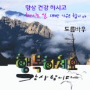 생고구마 효능과 생고구마의 부작용, 칼로리에 대해서 알아볼께요. 이미지