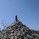 개림초등학교 이미지