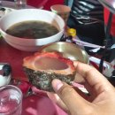 포차씨스타 이미지