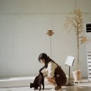 오디너리프로젝트(ordinary project) 이미지