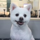 멍분의 멍 이미지