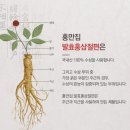 농업회사법인 천년홍삼유한회사