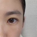 (뉴에버 원데이) 열린안경원 위드렌즈문산점 렌즈 구입