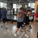 판교스타복싱
