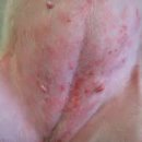 ACE동물병원 이미지