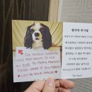 포루시스 네이버블로그