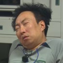 바우바우 이미지