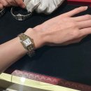 레드팬더 | 가격 인상 전, 스타필드하남점 까르띠에 시계 팬더 미니 사이즈 구매 후기 (+시계 모델별 착용 비교)