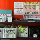태양당구장 | 가평 빠지 놀이 기구, 물놀이부터 숙박, 무제한 바베큐까지 원큐에 가능한 클로버리조트 내돈내산후기
