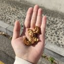 변농부의 바른간식연구소