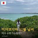 미야코지마 11월 날씨｜수영 가능할까? 직접 다녀온 물놀이·옷차림 후기