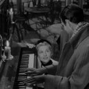 샤츠(Schatz) | [번역] 작가주의와 그 불만: V.F. 퍼킨스, 작가성, 그리고 비평 실천에 대하여