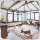 구리동물보호센터 이미지