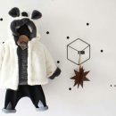 곰양