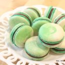 민트초코(Mint choco) 네이버블로그