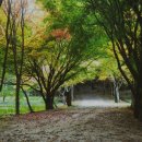 백마강길 이미지