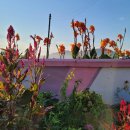 민박이야기 민박 이미지