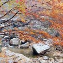 장성군청 광장 이미지