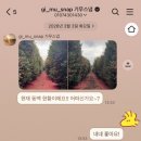 (주)제주모바일 | 3월 제주스냅 예뻐요♥️ 3시간 웨딩스냅촬영 추천후기 ‘기무스냅‘ 김우중 작가