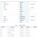 스핀