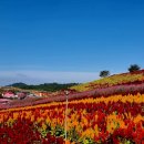 팔금면사무소 | 신안 천사섬 자전거여행 이야기