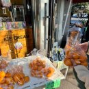 정방폭포 | [제주]서귀포 가볼만한곳 정방폭포 방문 후기 ✨동양유일 해안폭포 정보 일제시대 역사