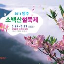 2016 영주 소백산 철쭉제(5. 27 ~ 29) 이미지