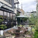 나루터민박 | [부여맛집] 부여 부소산성 정림사지 반려동물 애견동반 브런치카페 ‘그린메이트’ 파스타 필라프 추천.