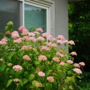 베짱이정원 이미지